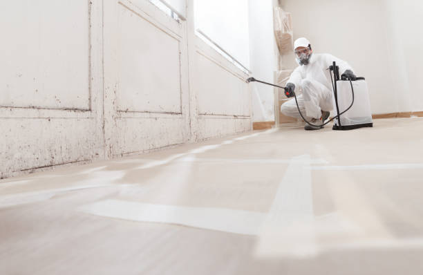 24/7 Emergency Attic Mold Removal experts in Suffolk, VA